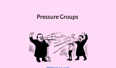 Pressure groups and their role in India