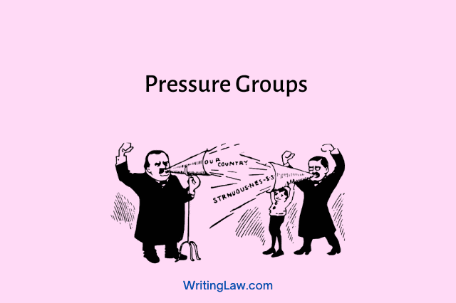 Pressure groups and their role in India